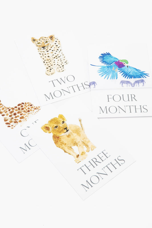 Baby Month Cards
