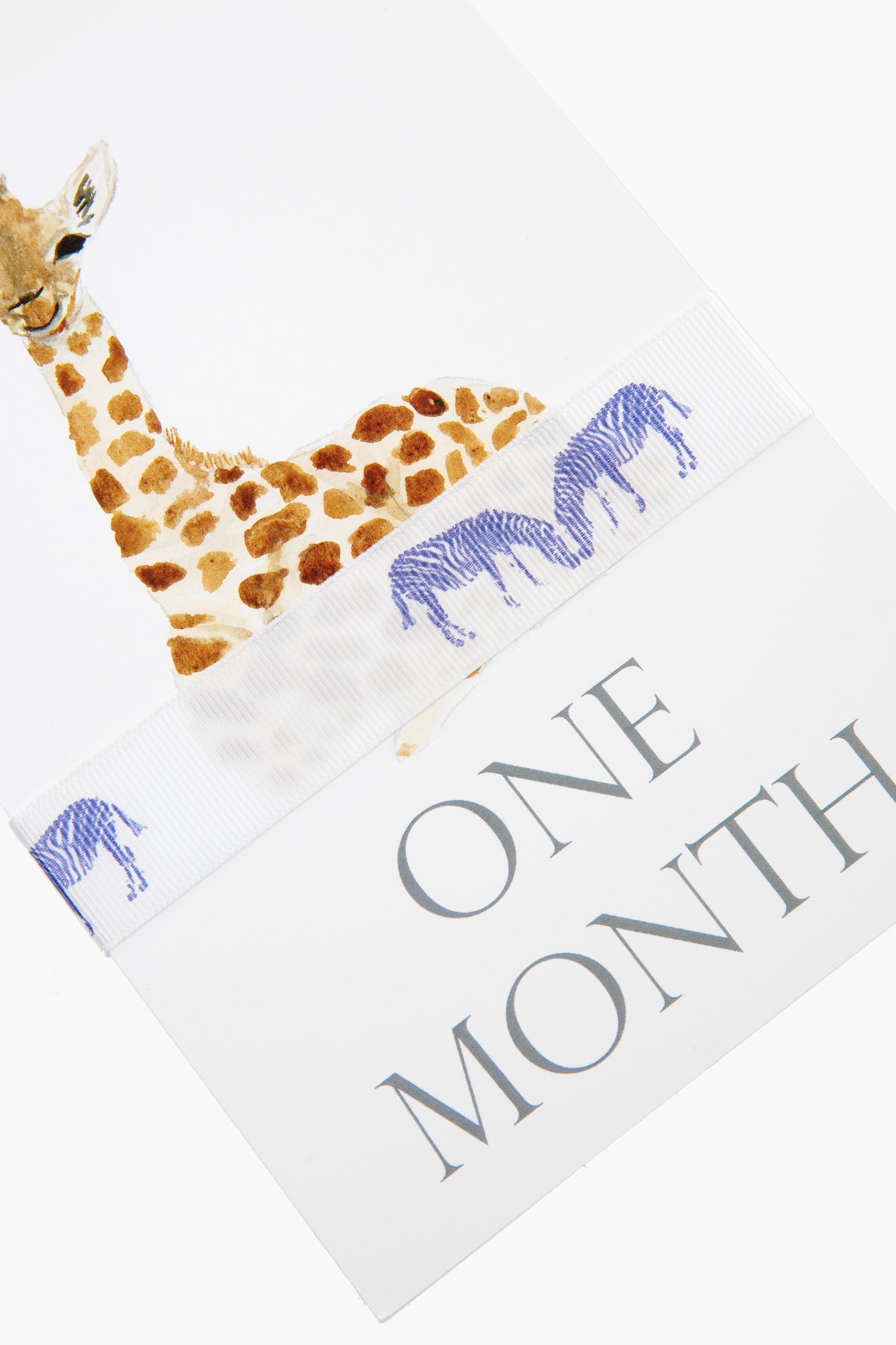 Baby Month Cards